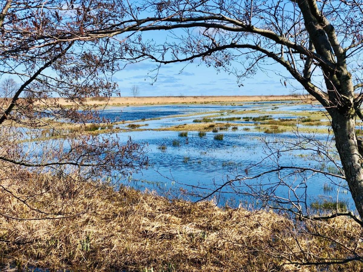 Domki I Apartamenty Caloroczne Koliber Владиславово Екстер'єр фото